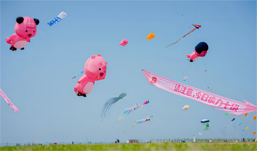 ZANMANG LOOPY成品牌IP形象大使，
名創(chuàng)優(yōu)品聯(lián)名產(chǎn)品火熱上新