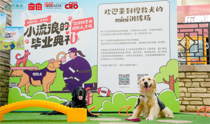 名創(chuàng)優(yōu)品推出國內(nèi)首例
“流浪狗變身搜救犬”公益項(xiàng)目